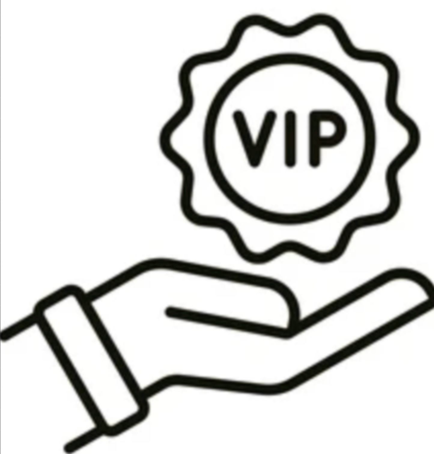 V.I.P Support